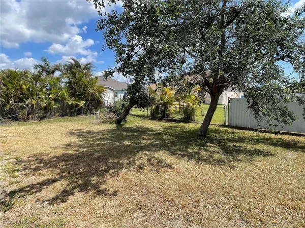 a view of a yard with a tree
