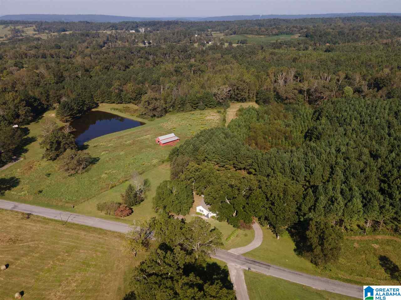 1697 Robin Hill Road Oneonta, AL 35121 - Photo 46 of 50