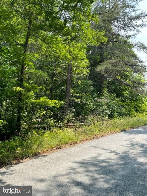 Bakers Branch Road Louisa, VA 23093 - Photo 1 of 4 Gallery Image 1