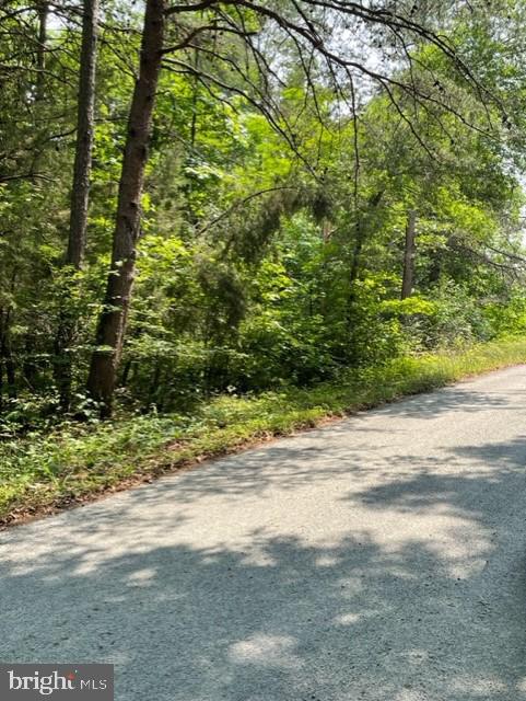 Bakers Branch Road Louisa, VA 23093 - Photo 2 of 4 Gallery Image 2