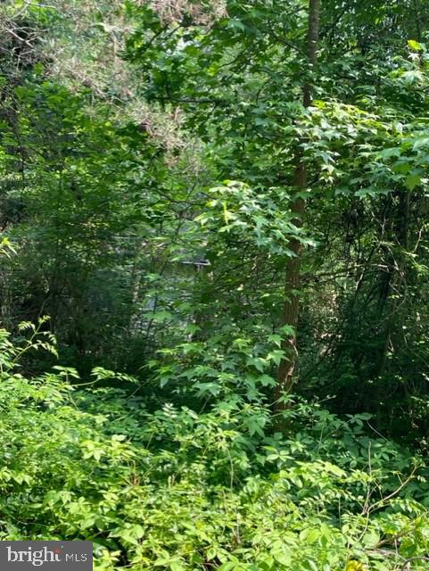 Bakers Branch Road Louisa, VA 23093 - Photo 3 of 4 Gallery Image 3