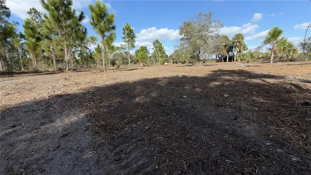 $49,999 | 17923 Northwest 298th Street, Okeechobee, FL 34972
