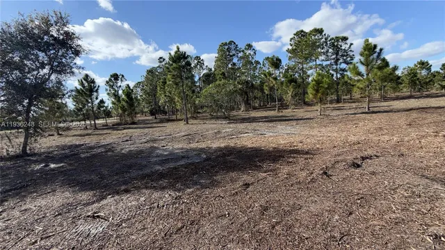 $49,999 | 17923 Northwest 298th Street, Okeechobee, FL 34972