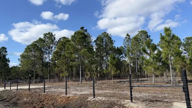 $49,999 | 17923 Northwest 298th Street, Okeechobee, FL 34972