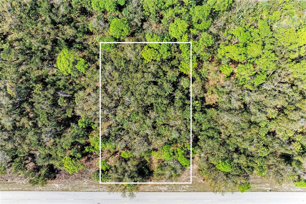 3067 Como Street Port Charlotte, FL 33948 - Photo 11 of 15 a view of a yard