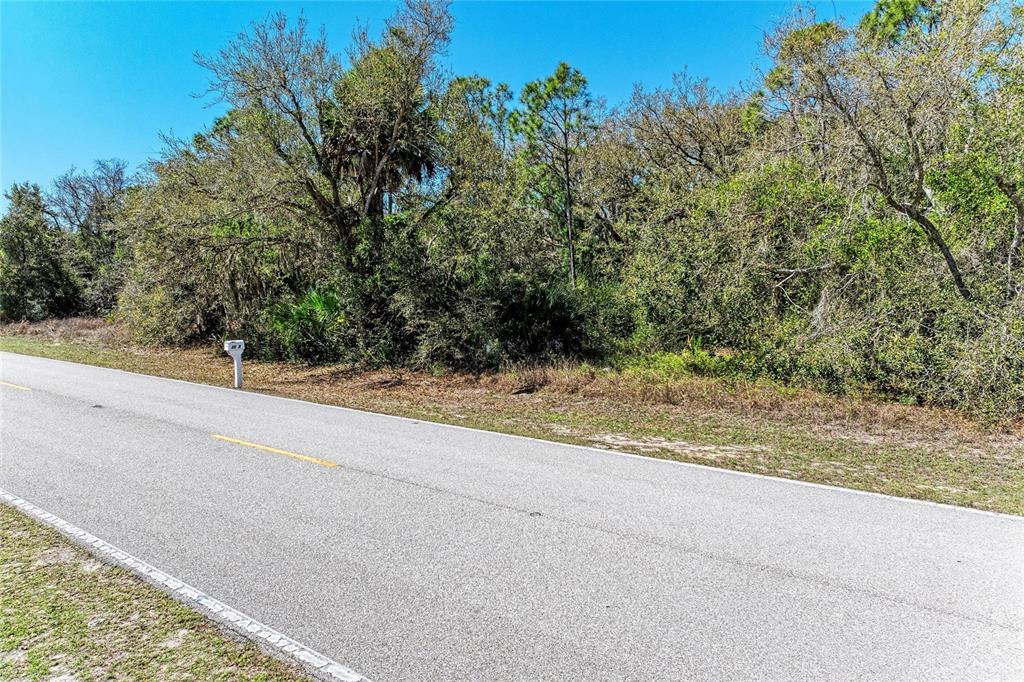 3067 Como Street Port Charlotte, FL 33948 - Photo 3 of 15 a view of a yard with a tree