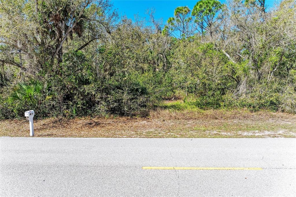 3067 Como Street Port Charlotte, FL 33948 - Photo 4 of 15 a view of a yard with a tree