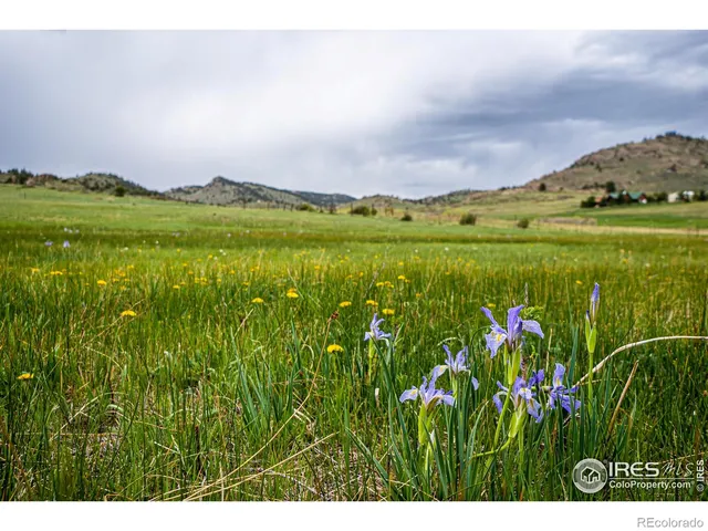 a view of a lake with a big yard