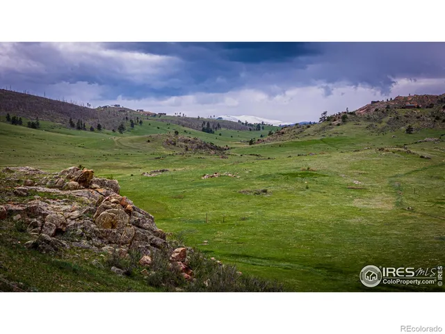 a view of a big yard with green space and mountain view in back
