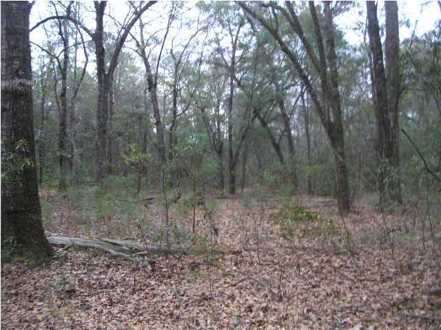 1 Mill Spring Road, Unit LOT A1 Hollywood, SC 29449 - Photo 3 of 4 Additional Photo