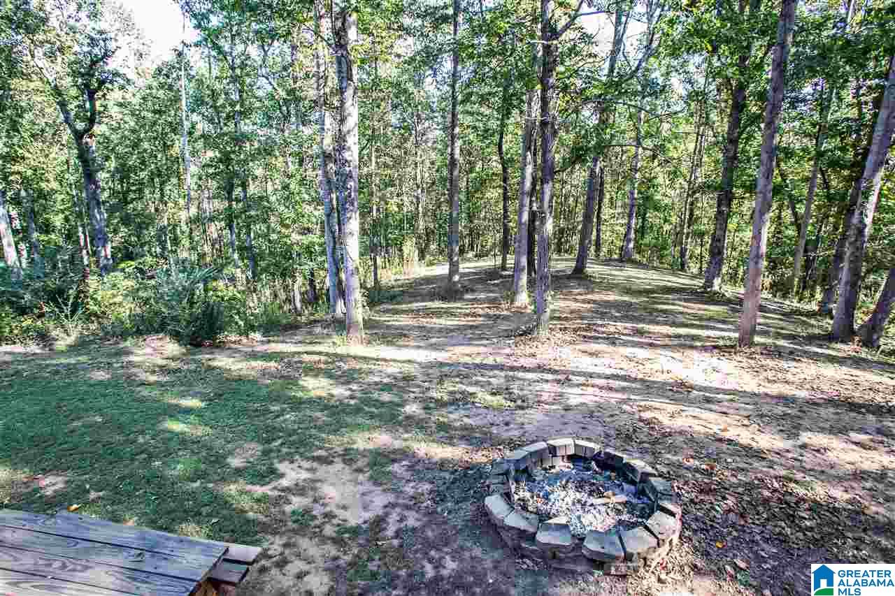581 Fred Terry Road Locust Fork, AL 35097 - Photo 45 of 49