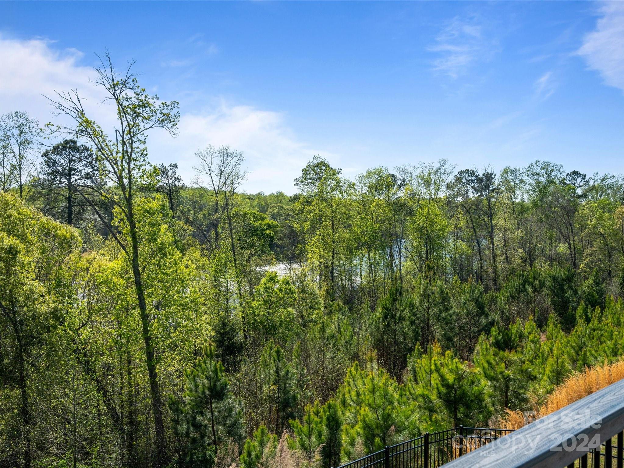 2161 Hanging Rock Road Fort Mill, SC 29715 - Photo 30 of 48 Gallery Image 30