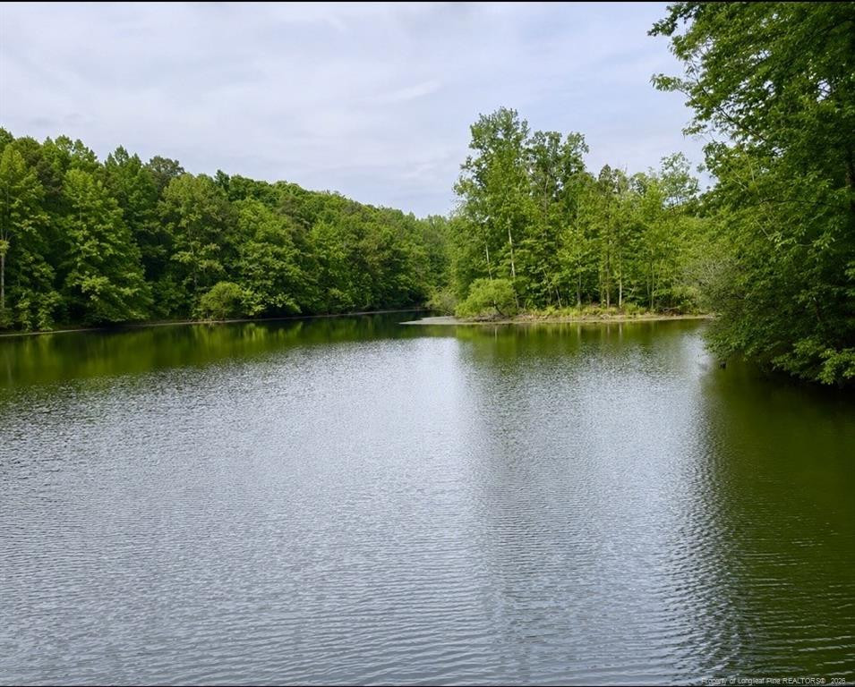 284 Back Creek Road Asheboro, NC 27205 - Photo 6 of 9