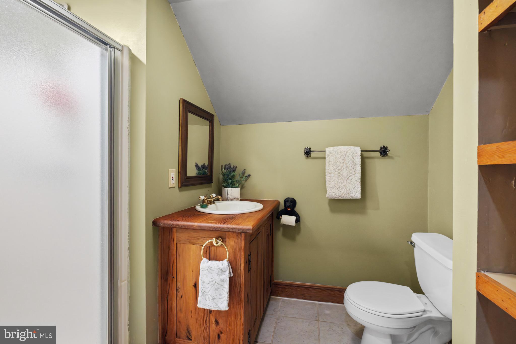 719 Mission Road Harpers Ferry, WV 25425 - Photo 22 of 37 a bathroom with a sink a toilet and mirror