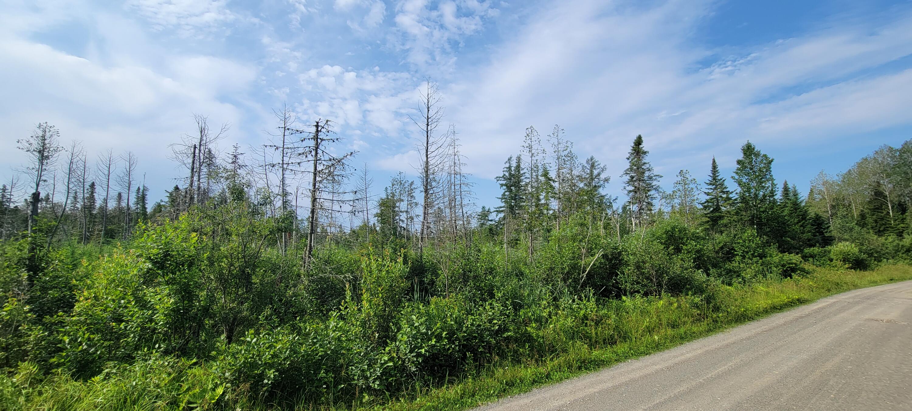 M38-l8 Doucette Road Grand Isle, ME 04746 - Photo 5 of 9 20230720_085702