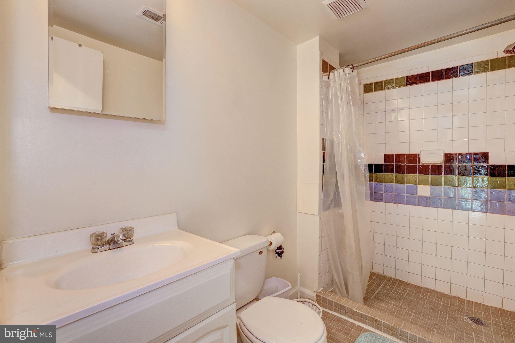 14207 Tree House Terrace Silver Spring, MD 20906 - Photo 22 of 26 Basement