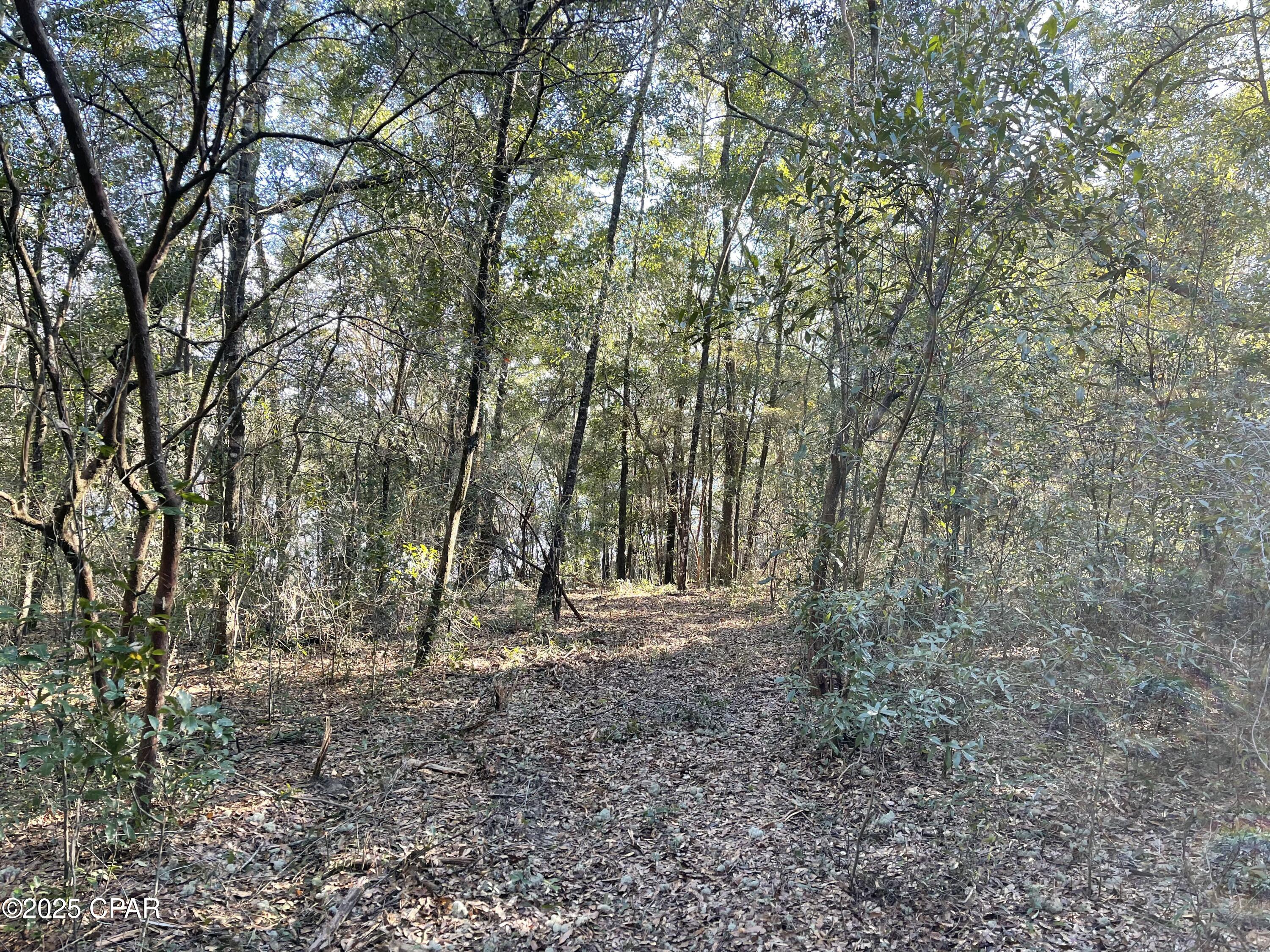0 Bent Oaks Road Chipley, FL 32428 - Photo 7 of 21