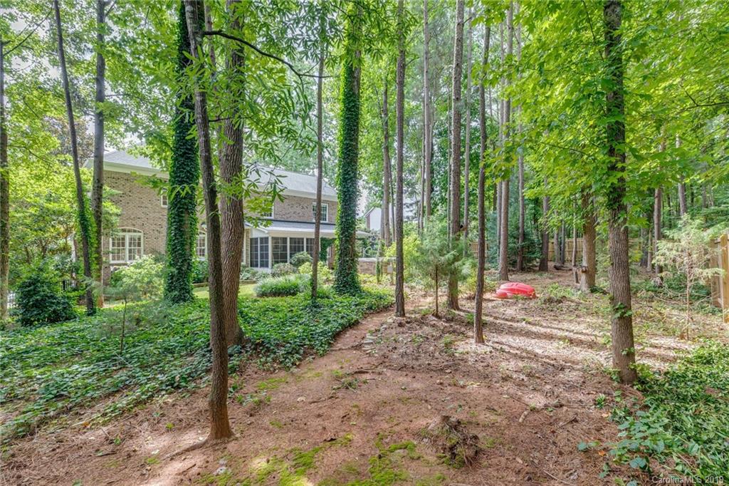 1312 Golden Ridge Road Lake Wylie, SC 29710 - Photo 3 of 47