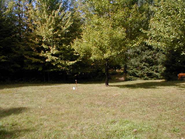 5753 Cedar Falls Road Hazelhurst, WI 54531 - Photo 11 of 15 Gallery Image 11