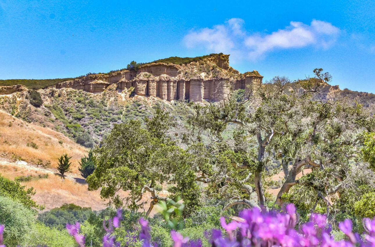 25603 Creekview Circle Salinas, CA 93908 - Photo 66 of 66