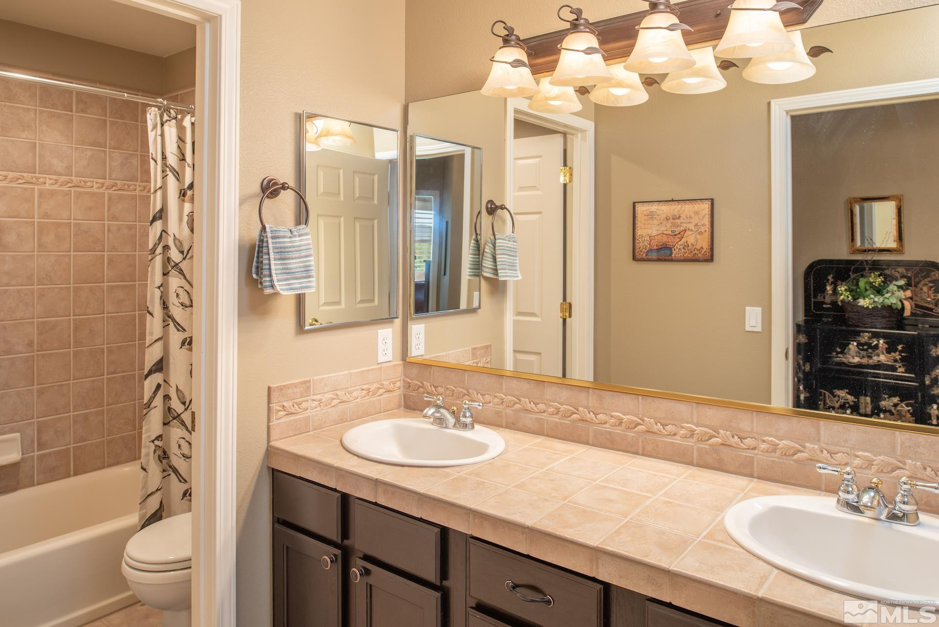 450 Flanders Road Reno, NV 89511 - Photo 21 of 36 a bathroom with a sink a toilet a mirror and shower
