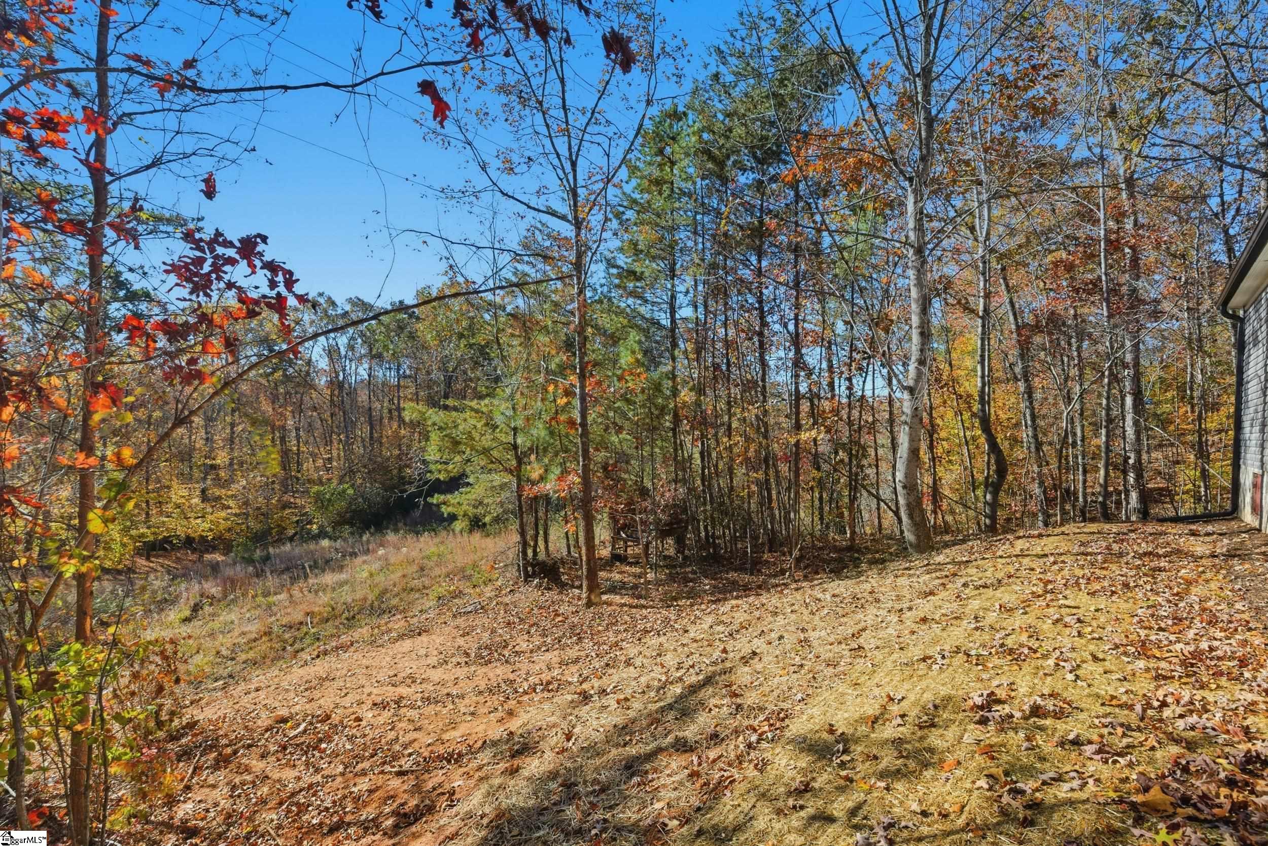 119 Ridgedale Road Six Mile, SC 29682 - Photo 4 of 26