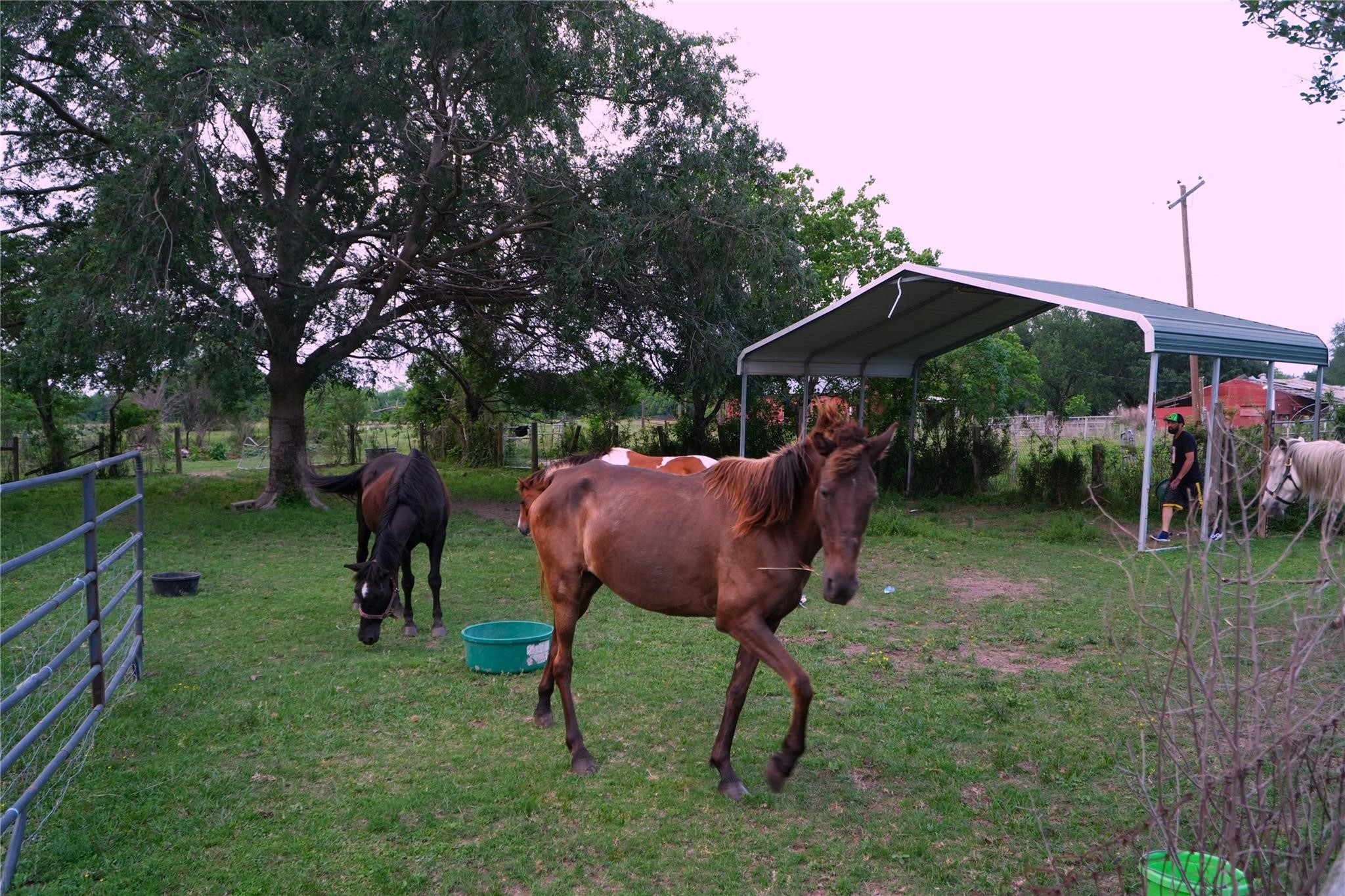 24206 Longenbaugh Road Katy, TX 77493 - Photo 38 of 43