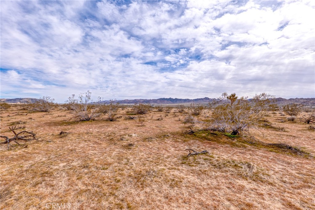 147 Little Road Joshua Tree, CA 92252 - Photo 11 of 37