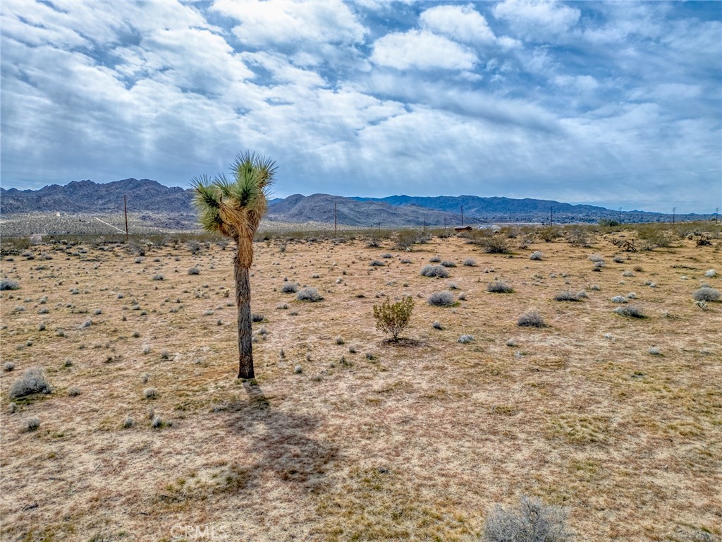 147 Little Road Joshua Tree, CA 92252 - Photo 15 of 37