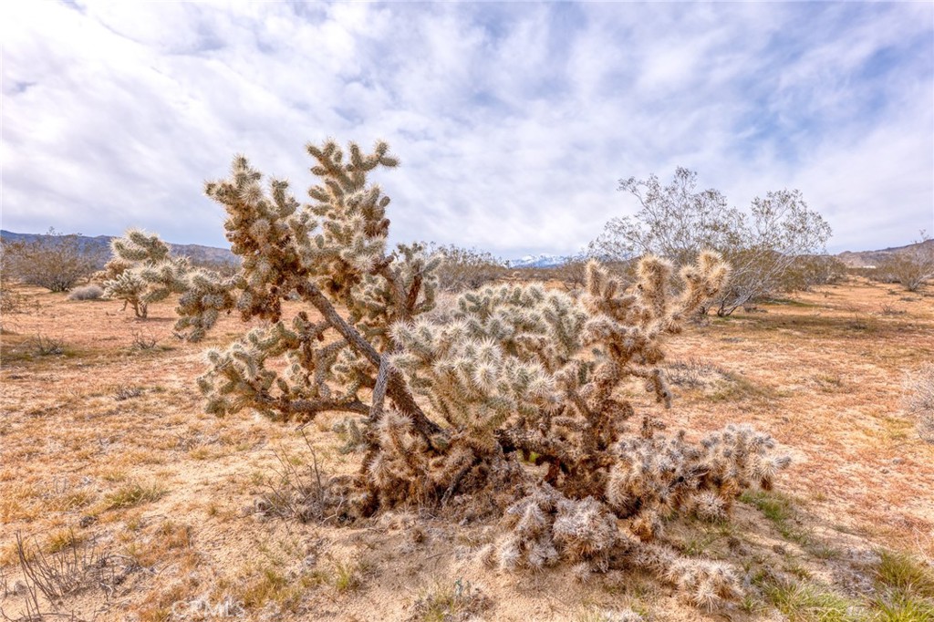 147 Little Road Joshua Tree, CA 92252 - Photo 2 of 37