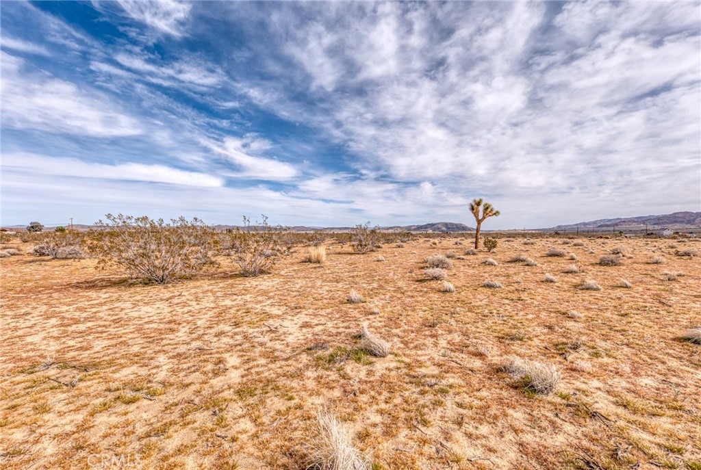 147 Little Road Joshua Tree, CA 92252 - Photo 3 of 37