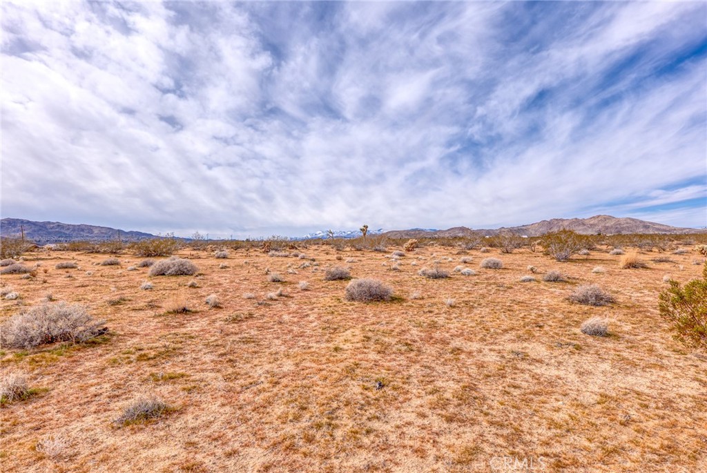 147 Little Road Joshua Tree, CA 92252 - Photo 5 of 37