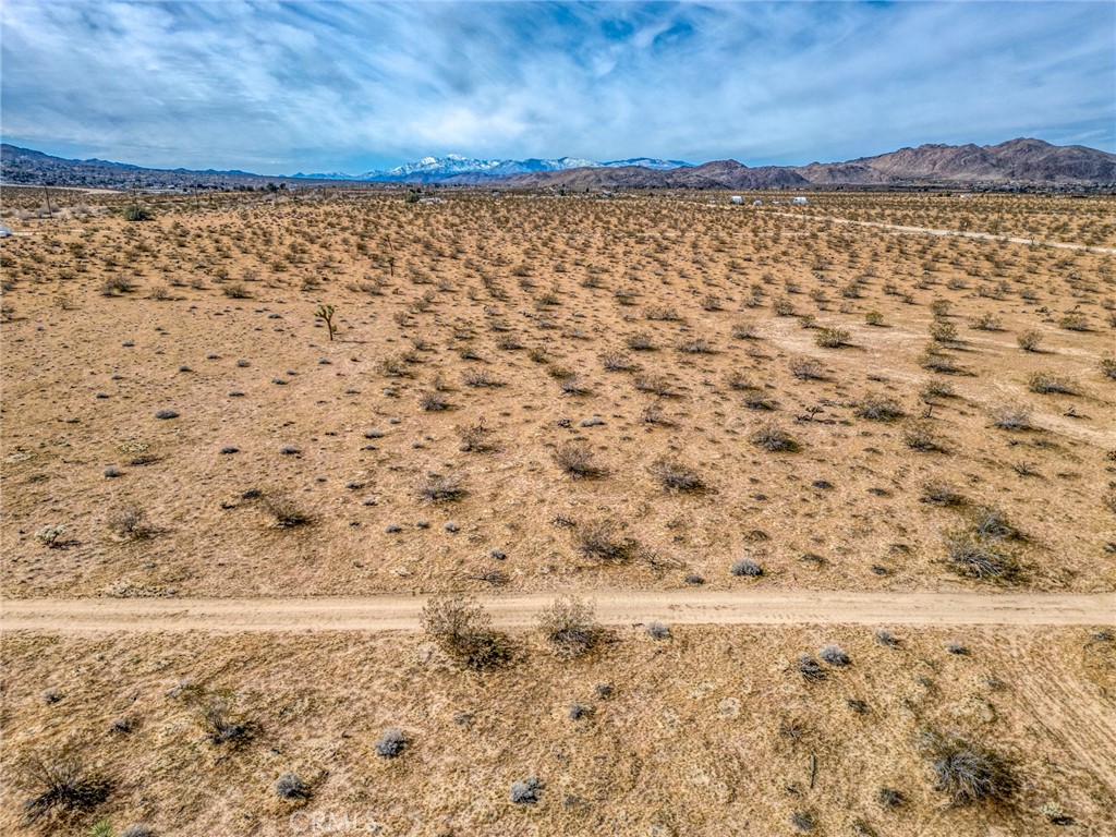 147 Little Road Joshua Tree, CA 92252 - Photo 8 of 37