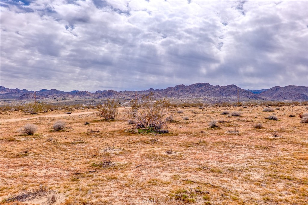 147 Little Road Joshua Tree, CA 92252 - Photo 9 of 37
