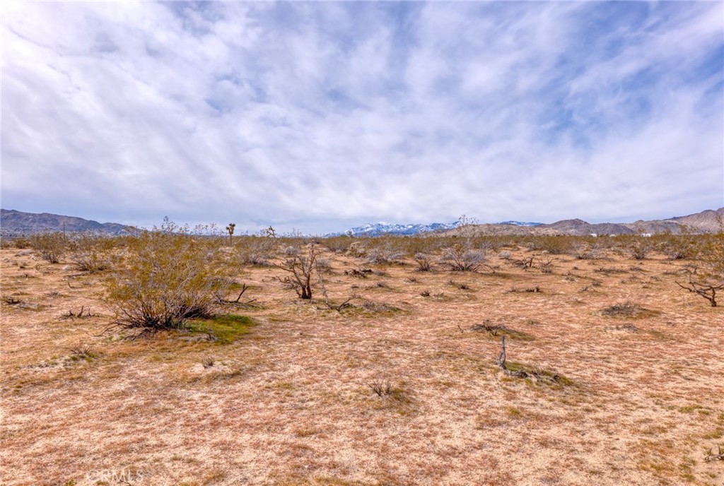 147 Little Road Joshua Tree, CA 92252 - Photo 10 of 37