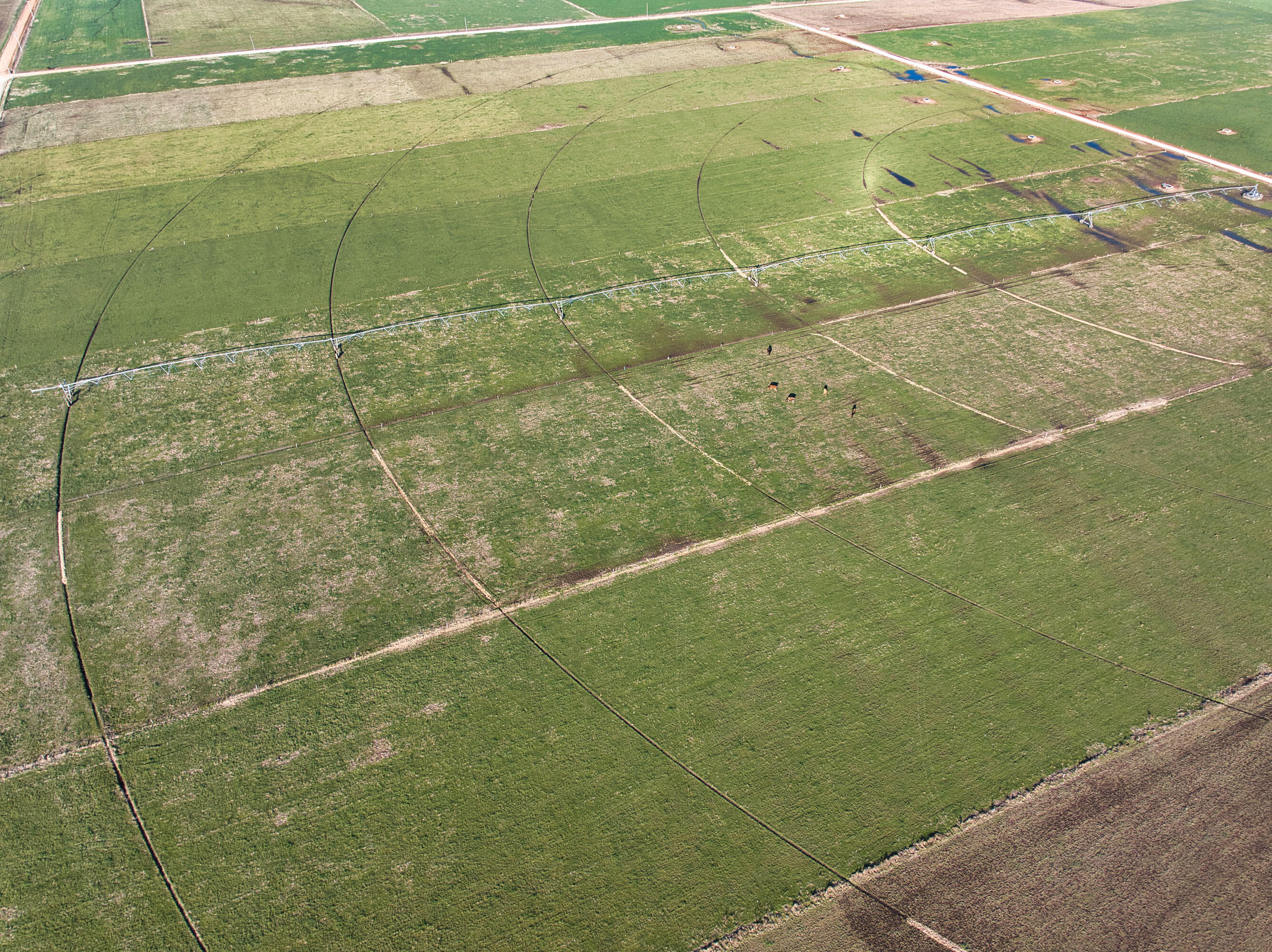 24990 Kentucky Road Granby, MO 64844 - Photo 24 of 61 DJI_20251205145714_0043_D