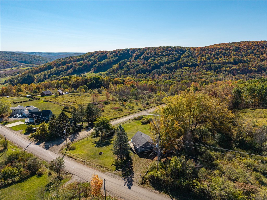 2425 Swain Hill Road Grove, NY 14884 - Photo 35 of 43