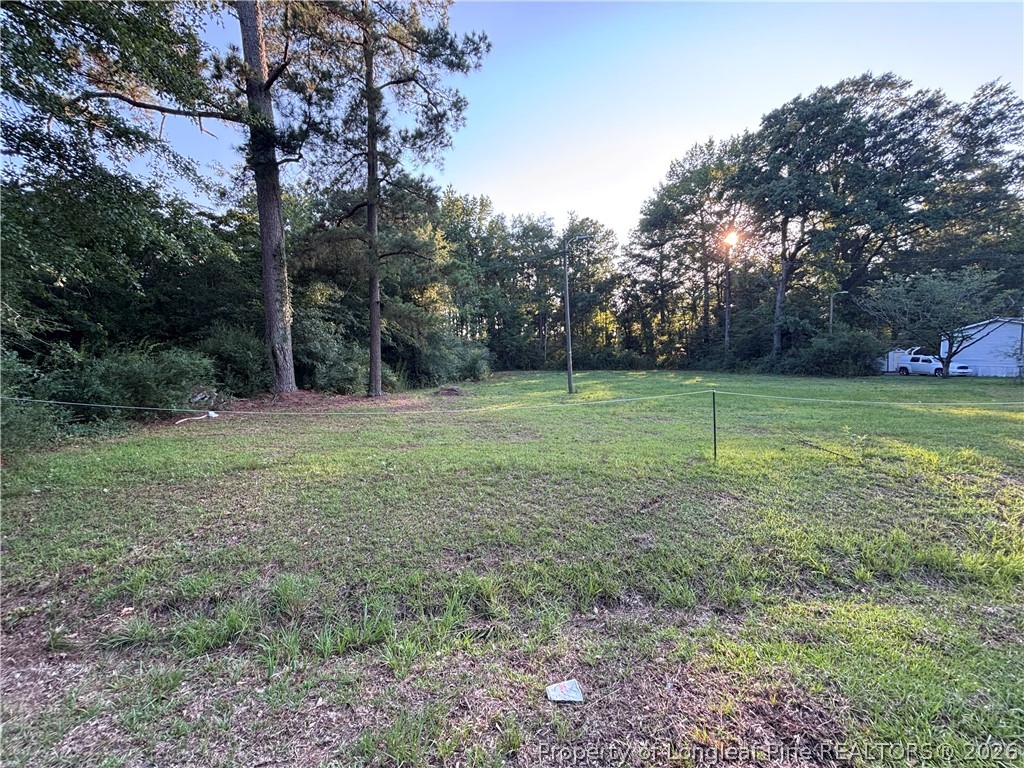 595 Shaw Road St. Pauls, NC 28384 - Photo 4 of 29