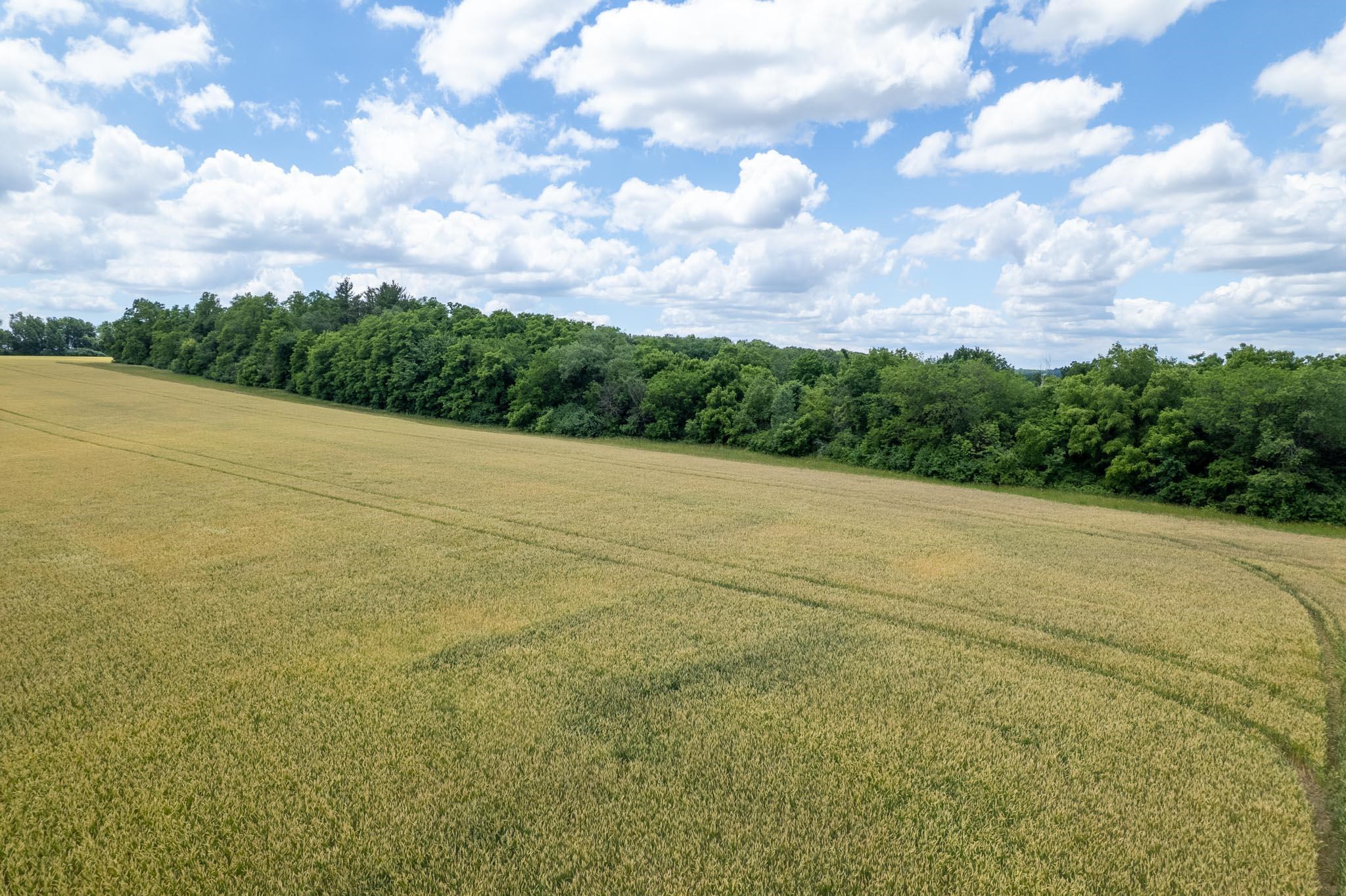 13682 East State Line Road Durand, IL 61024 - Photo 20 of 68