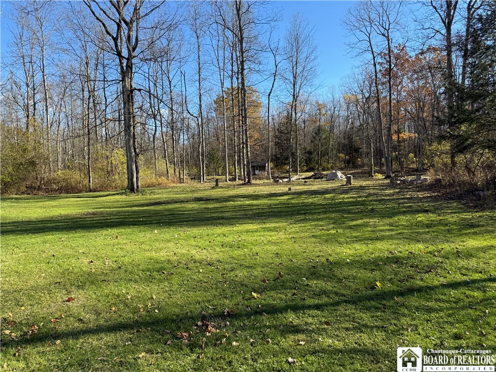 6167 Davis Road Chautauqua, NY 14757 - Photo 6 of 33