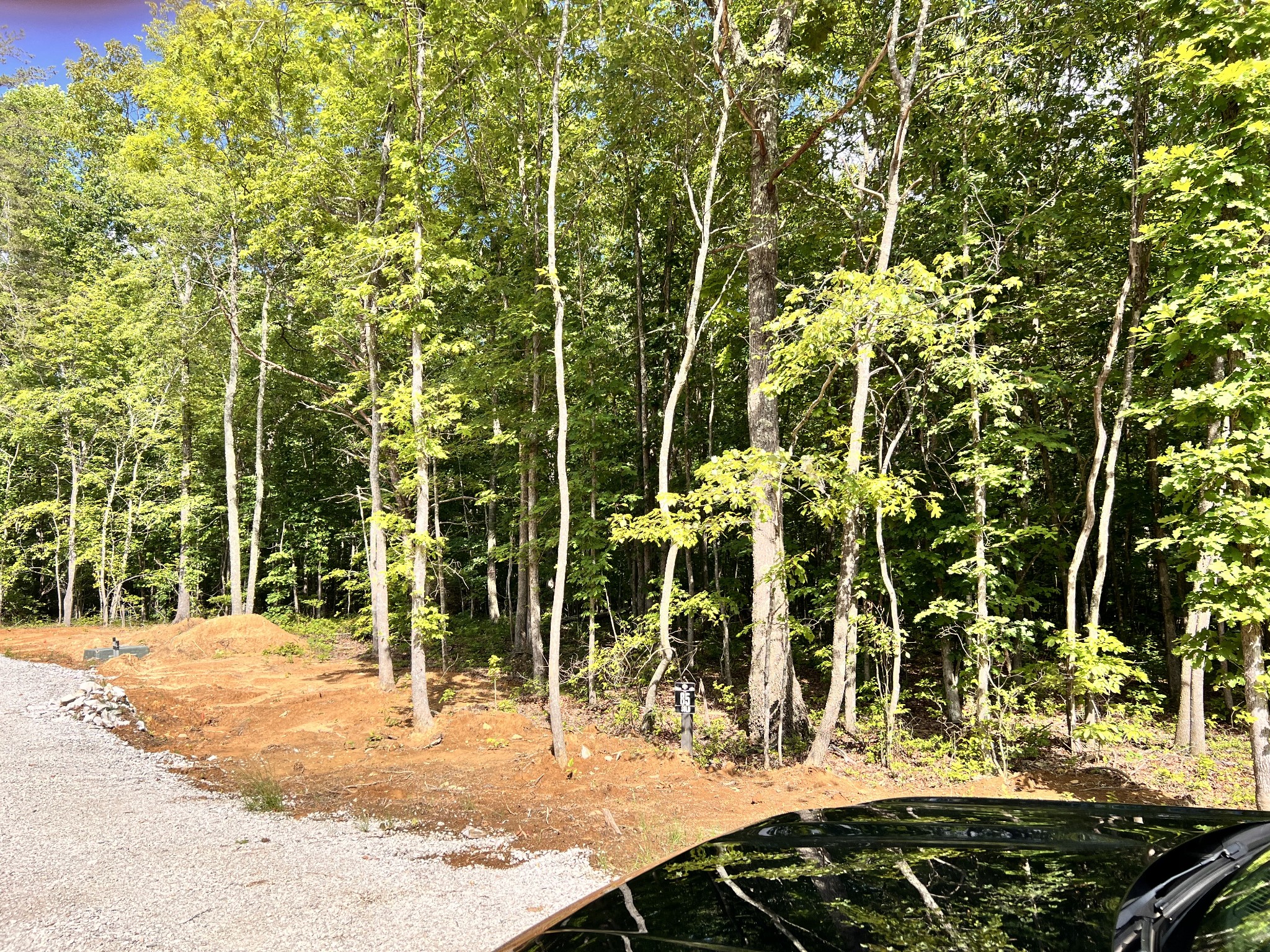 72 Lady Slipper Lane Pelham, TN 37366 - Photo 11 of 41