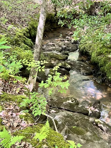 $85,000 | 72 Lady Slipper Lane, Pelham, TN 37366