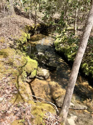 $85,000 | 72 Lady Slipper Lane, Pelham, TN 37366