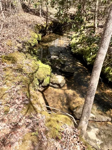 $85,000 | 72 Lady Slipper Lane, Pelham, TN 37366