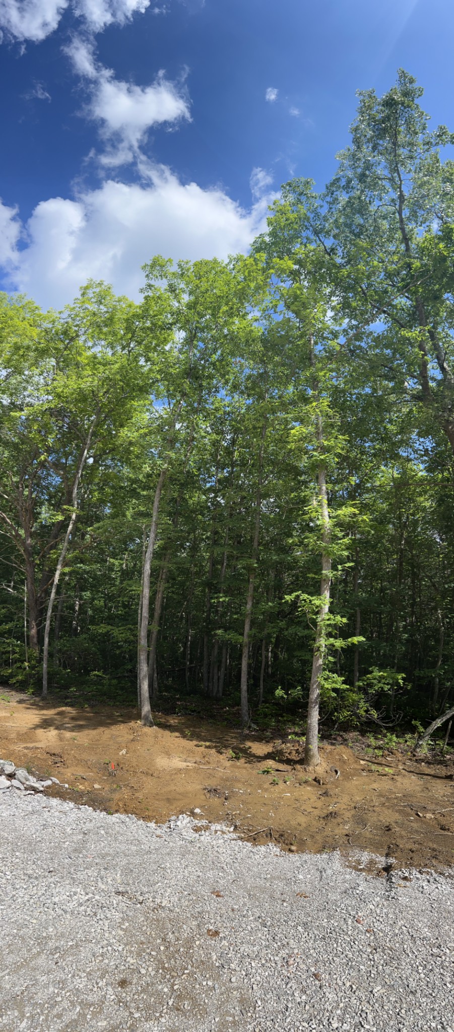 72 Lady Slipper Lane Pelham, TN 37366 - Photo 21 of 41