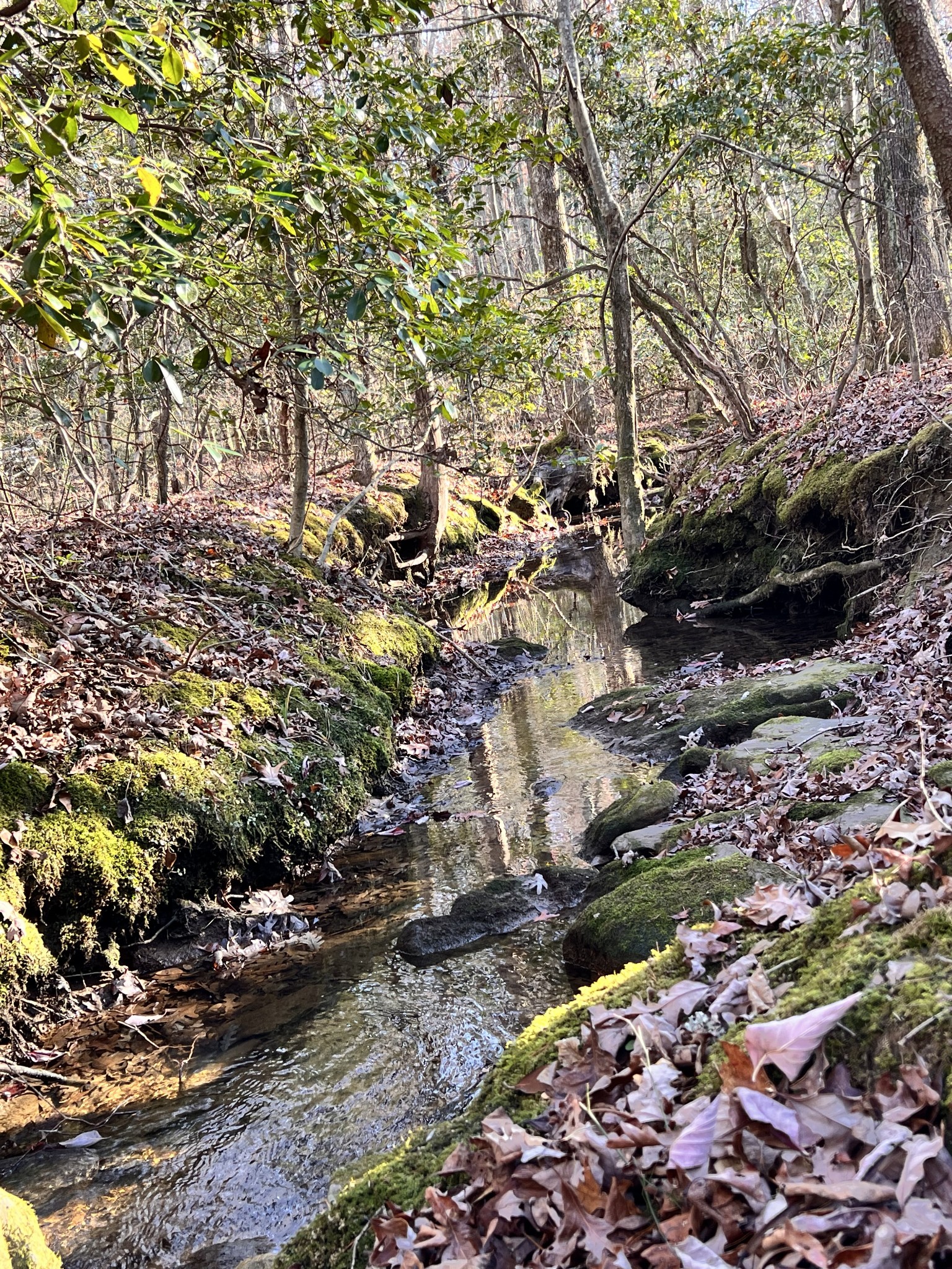 72 Lady Slipper Lane Pelham, TN 37366 - Photo 23 of 41