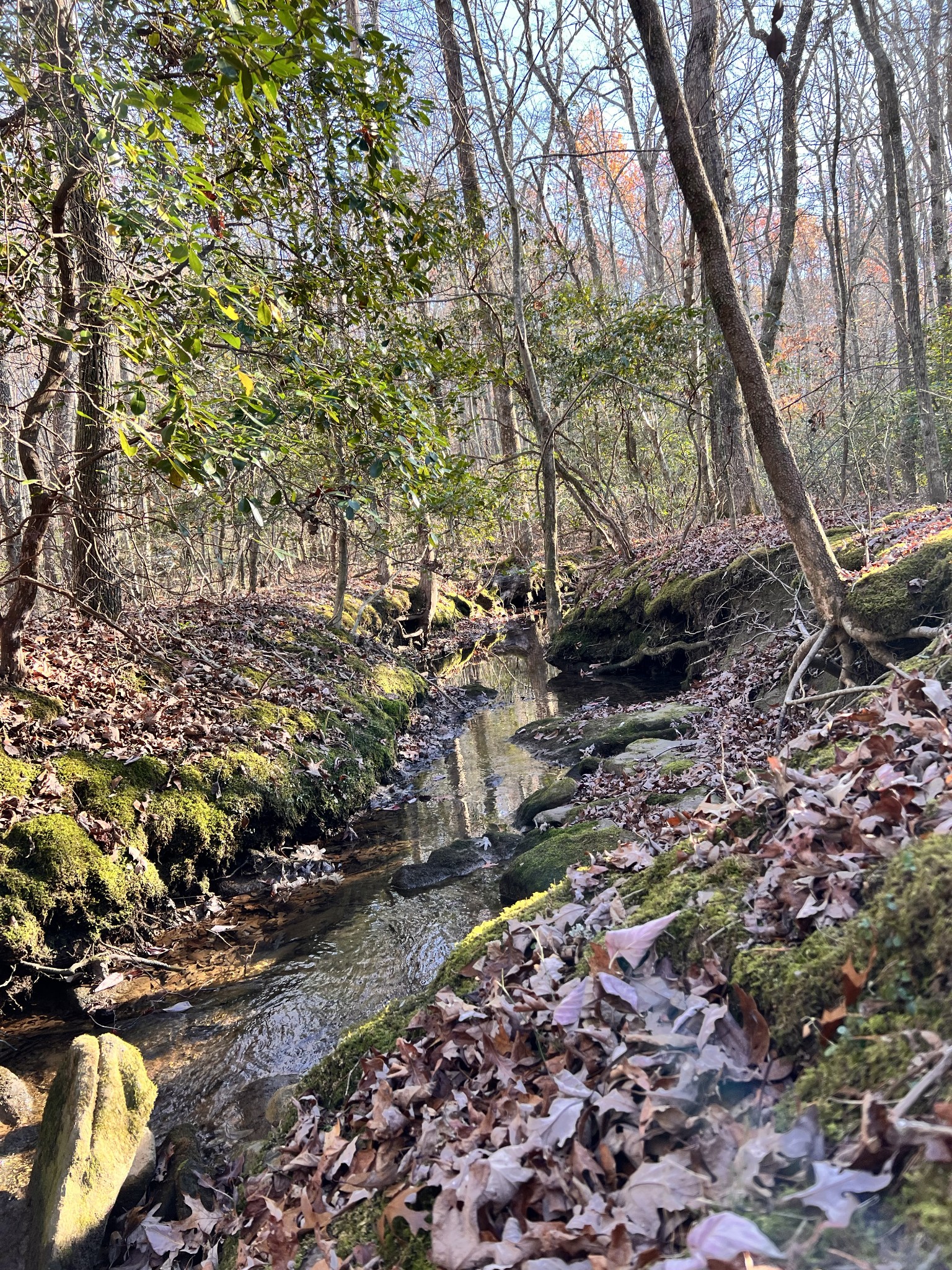 72 Lady Slipper Lane Pelham, TN 37366 - Photo 24 of 41