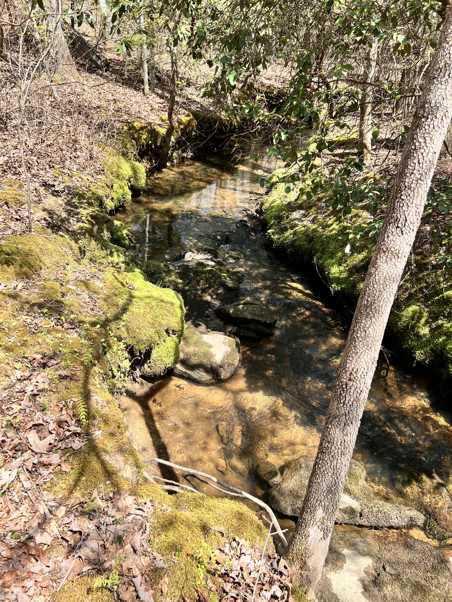 72 Lady Slipper Lane Pelham, TN 37366 - Photo 27 of 41