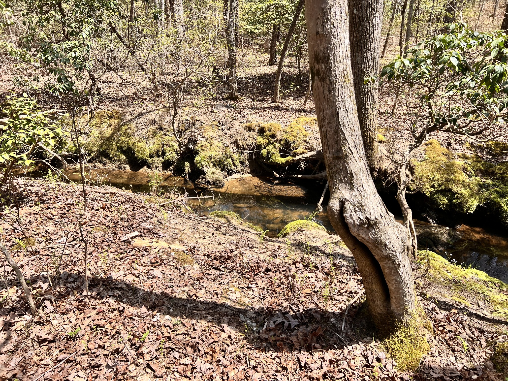 72 Lady Slipper Lane Pelham, TN 37366 - Photo 29 of 41