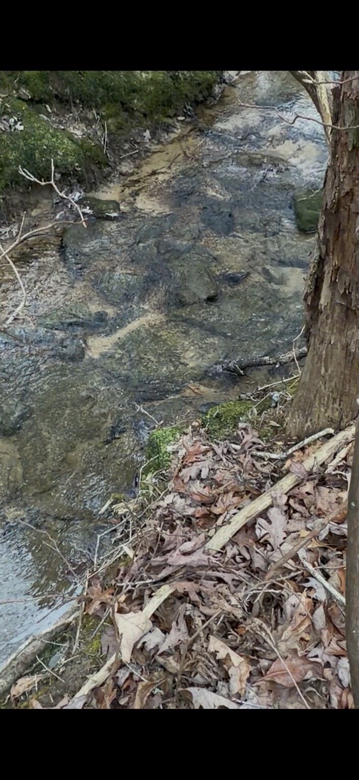 72 Lady Slipper Lane Pelham, TN 37366 - Photo 3 of 41